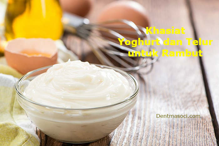 cara meluruskan rambut dengan Yoghurt dan Telur
